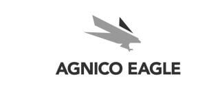Visite o site da Agnicoeagle