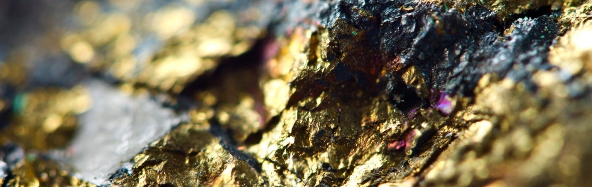 Group_Images_In text_02062024 (77)